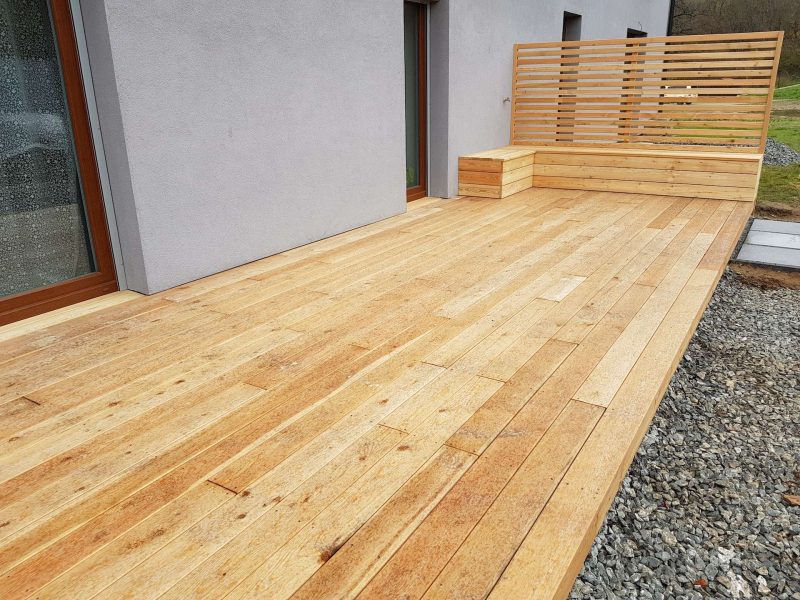 Sibiřský modřín hladký