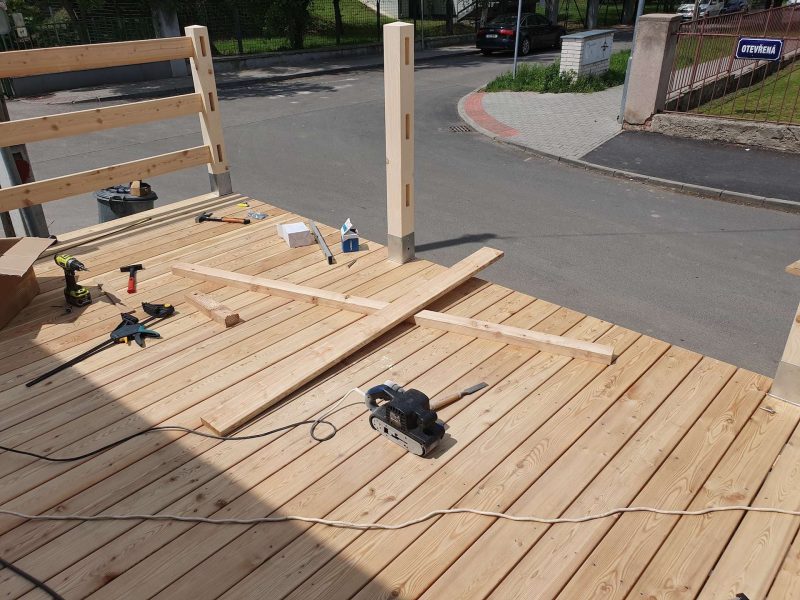 Sibiřský modřín hladký (2)