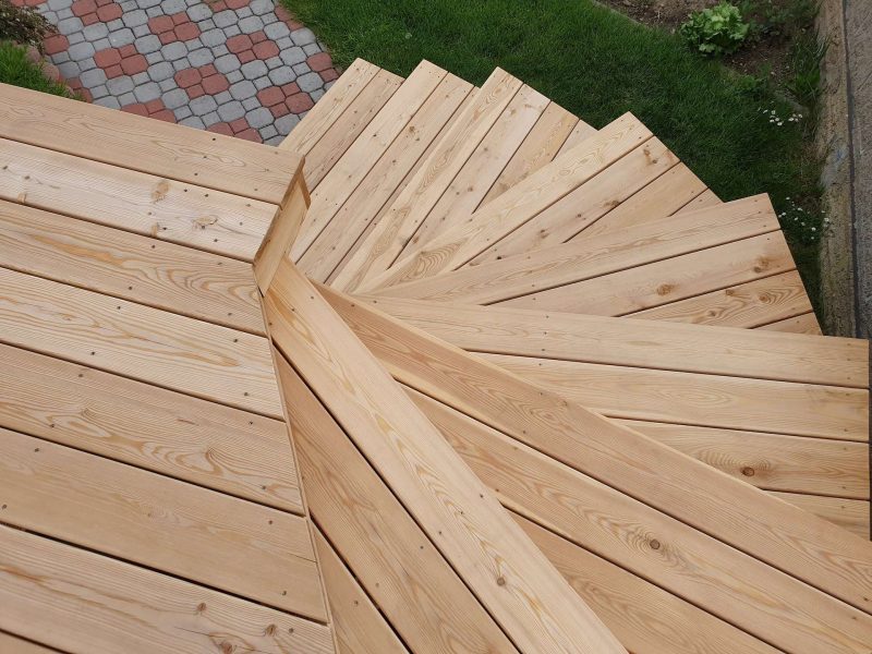 Sibiřský modřín hladký (3)