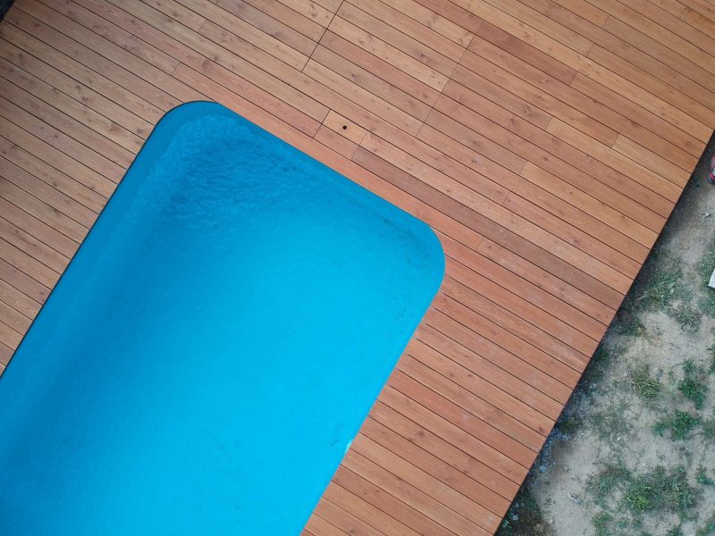 Sibiřský modřín hladky ošetřen Osmem (2)