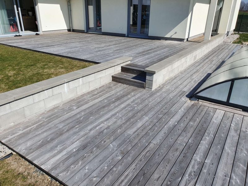 Sibiřský modřín hladký po 5 ti letech