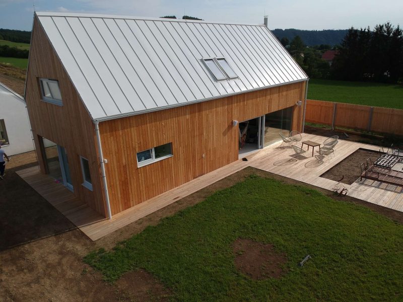 Sibiřský modřín hladky