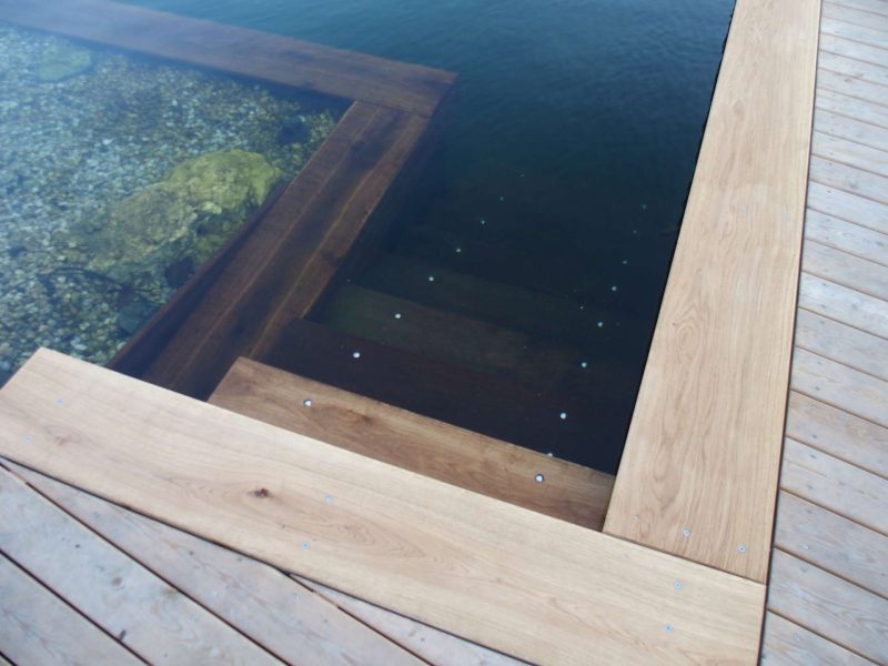 Sibiřský modřín s dubem