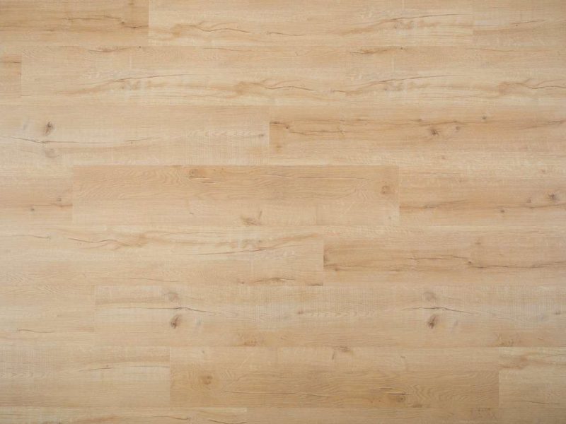 dub labský - podlaha